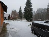 20250301_073241 (1024x768).jpg